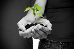 GRUPO SERVICIOS 2 5 GESTION MEDIOAMBIENTAL